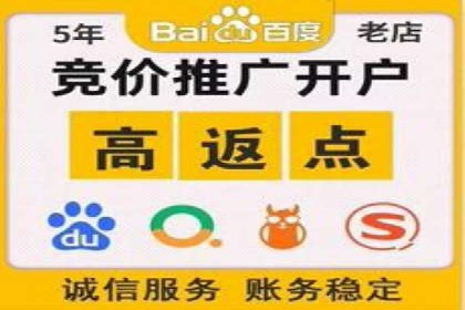 视频教程：通过SEM推广实现快速引流